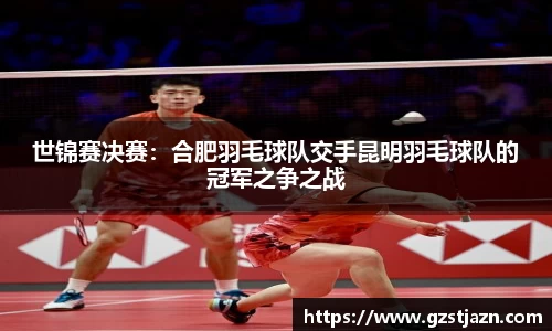 世锦赛决赛：合肥羽毛球队交手昆明羽毛球队的冠军之争之战