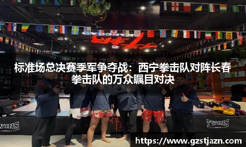 标准场总决赛季军争夺战：西宁拳击队对阵长春拳击队的万众瞩目对决